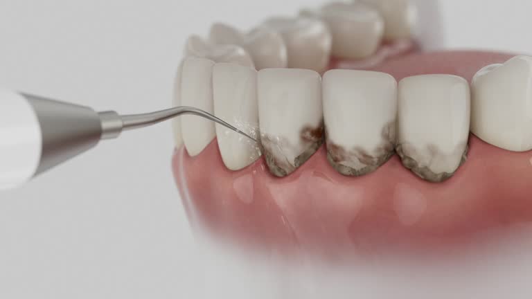 Reliable Dental contractor in Town Creek, AL by Dentist Open Now